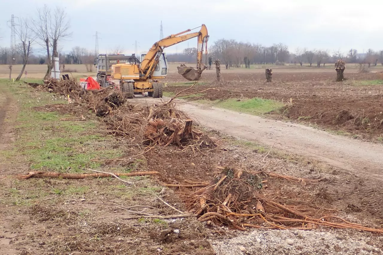 Ancora un'immagine dei lavori che evidenzia il numero di alberi tagliati